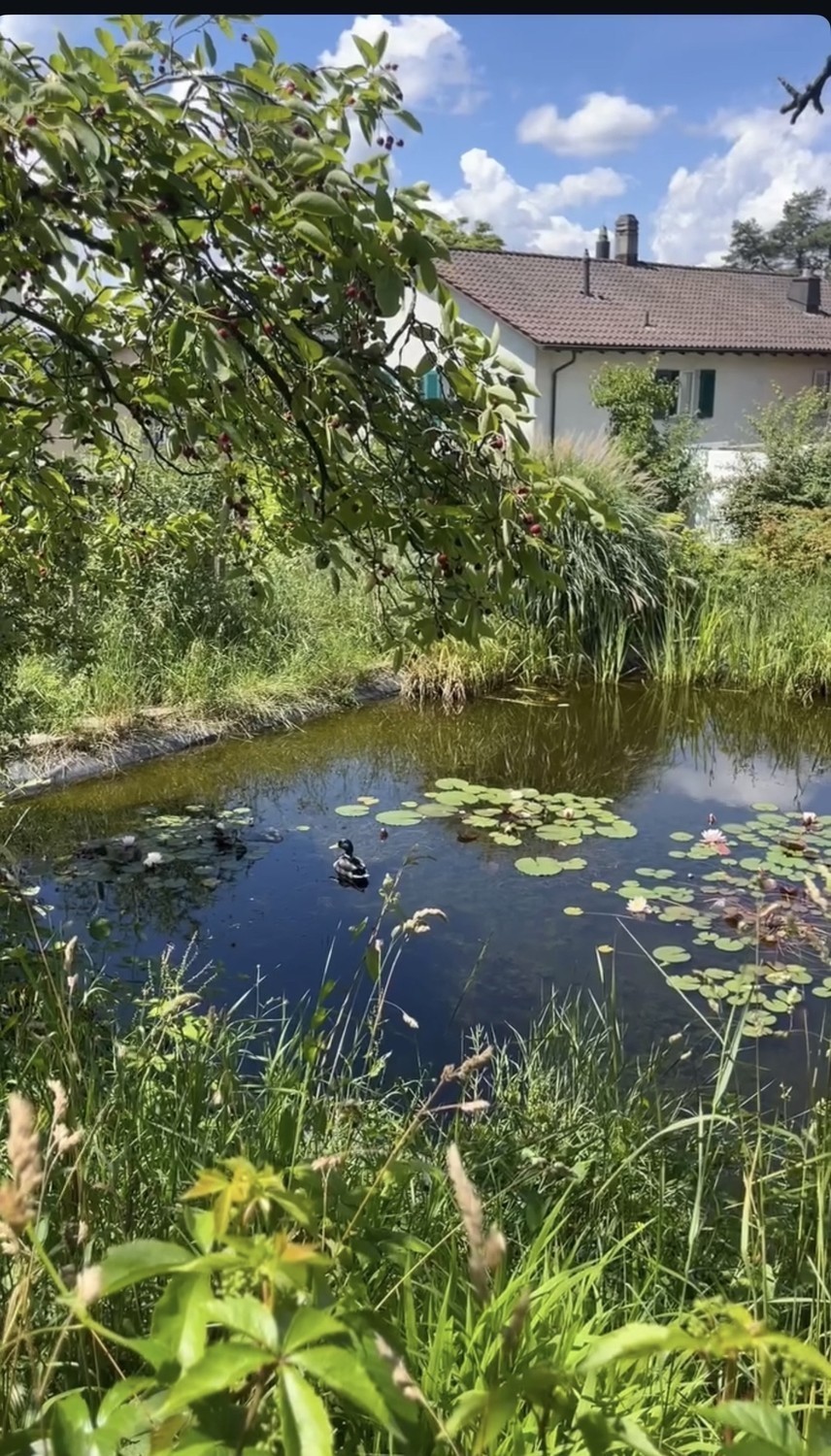 Zimmer in einer WG, Foto 7 von 7