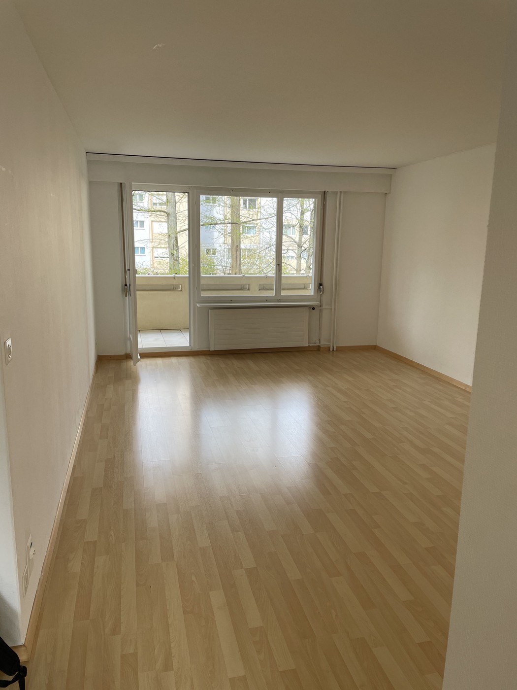 4 ½ rooms apartment (6)