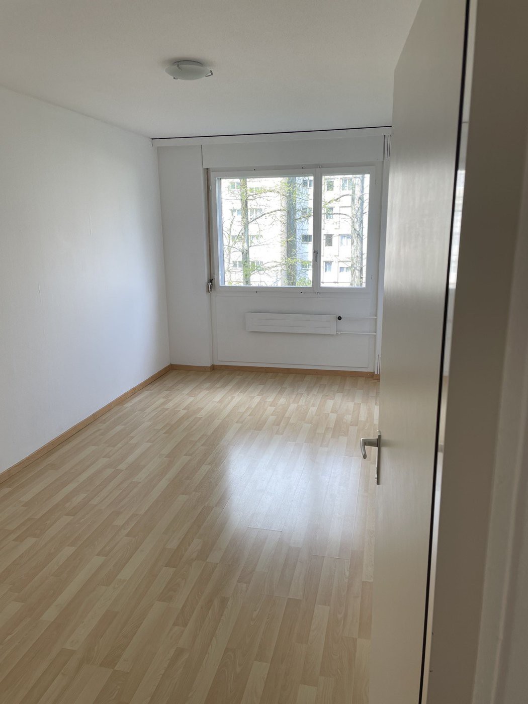 4 ½ rooms apartment (5)