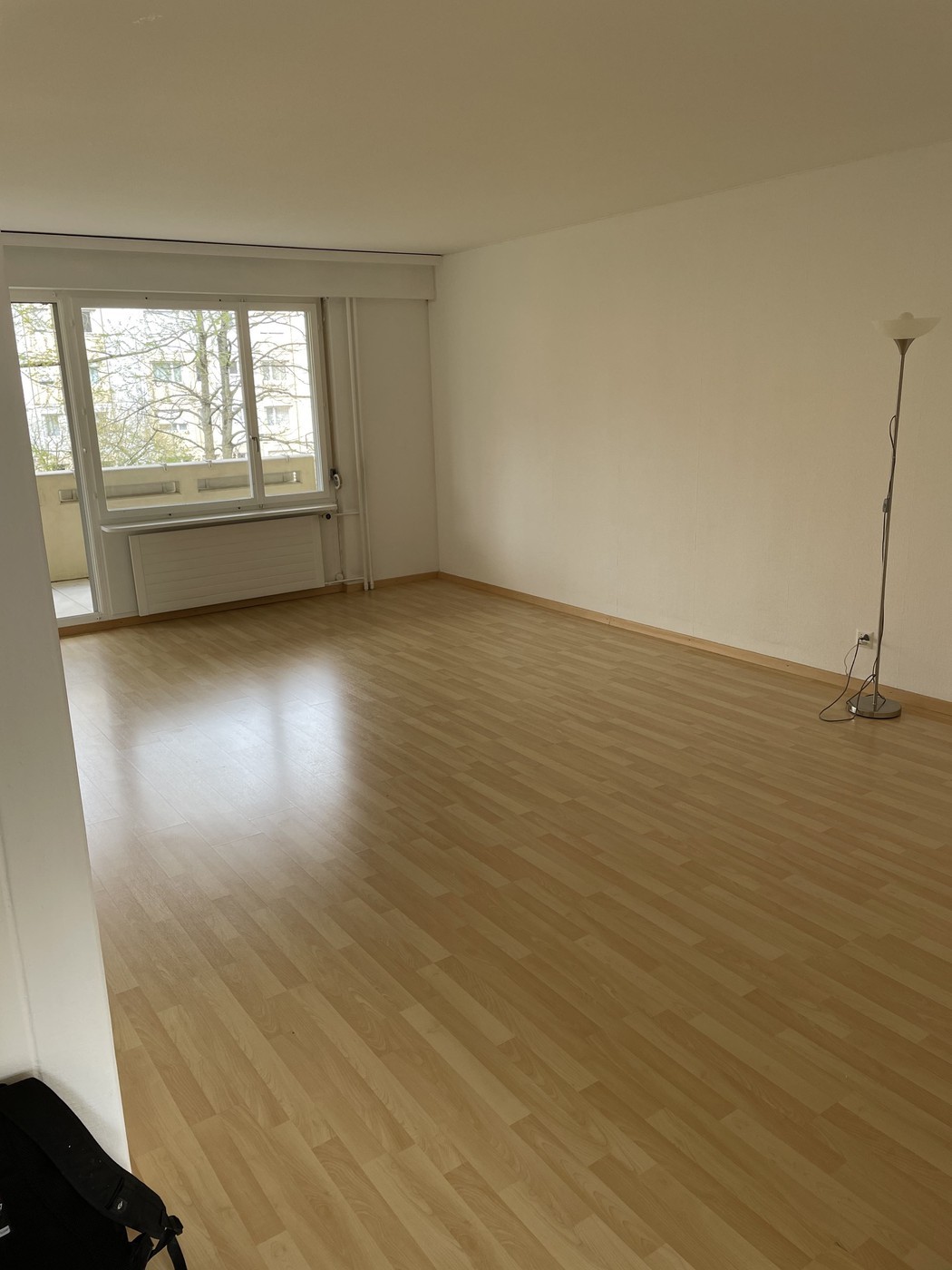 4 ½ rooms apartment (3)