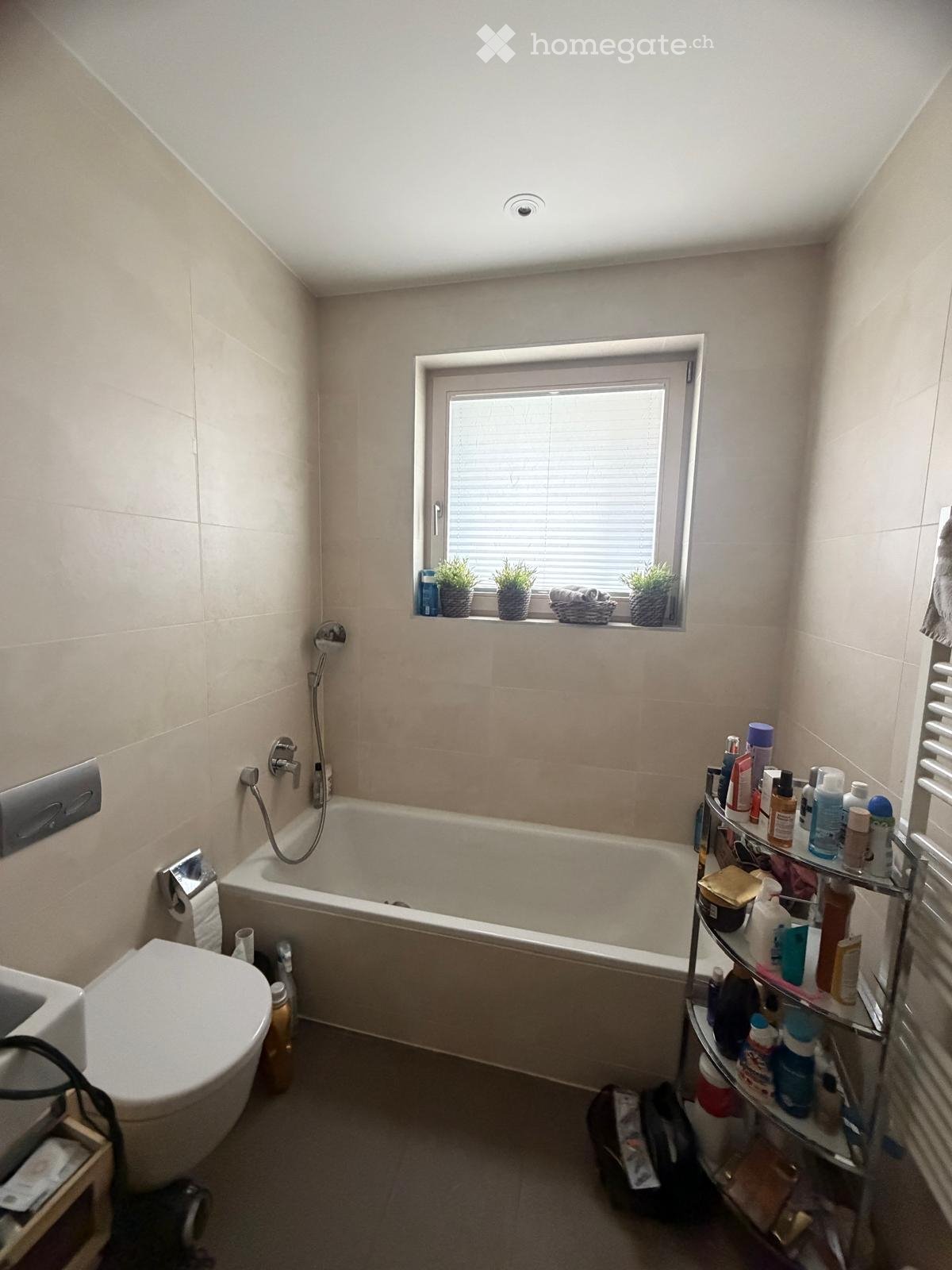 2 ½ Zimmer Wohnung