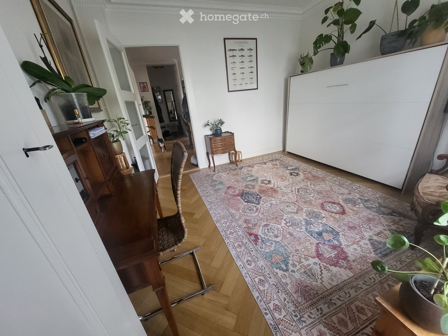 1 Zimmer Einzelzimmer