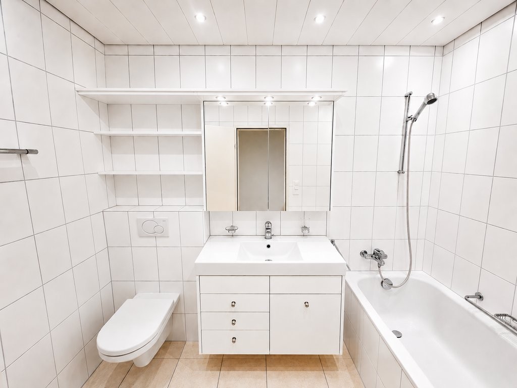 2 ½ pièces appartement