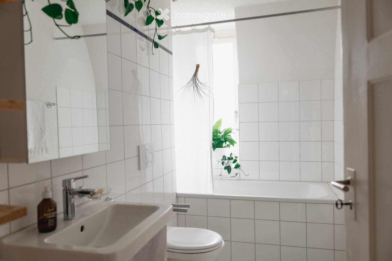 1 room single room