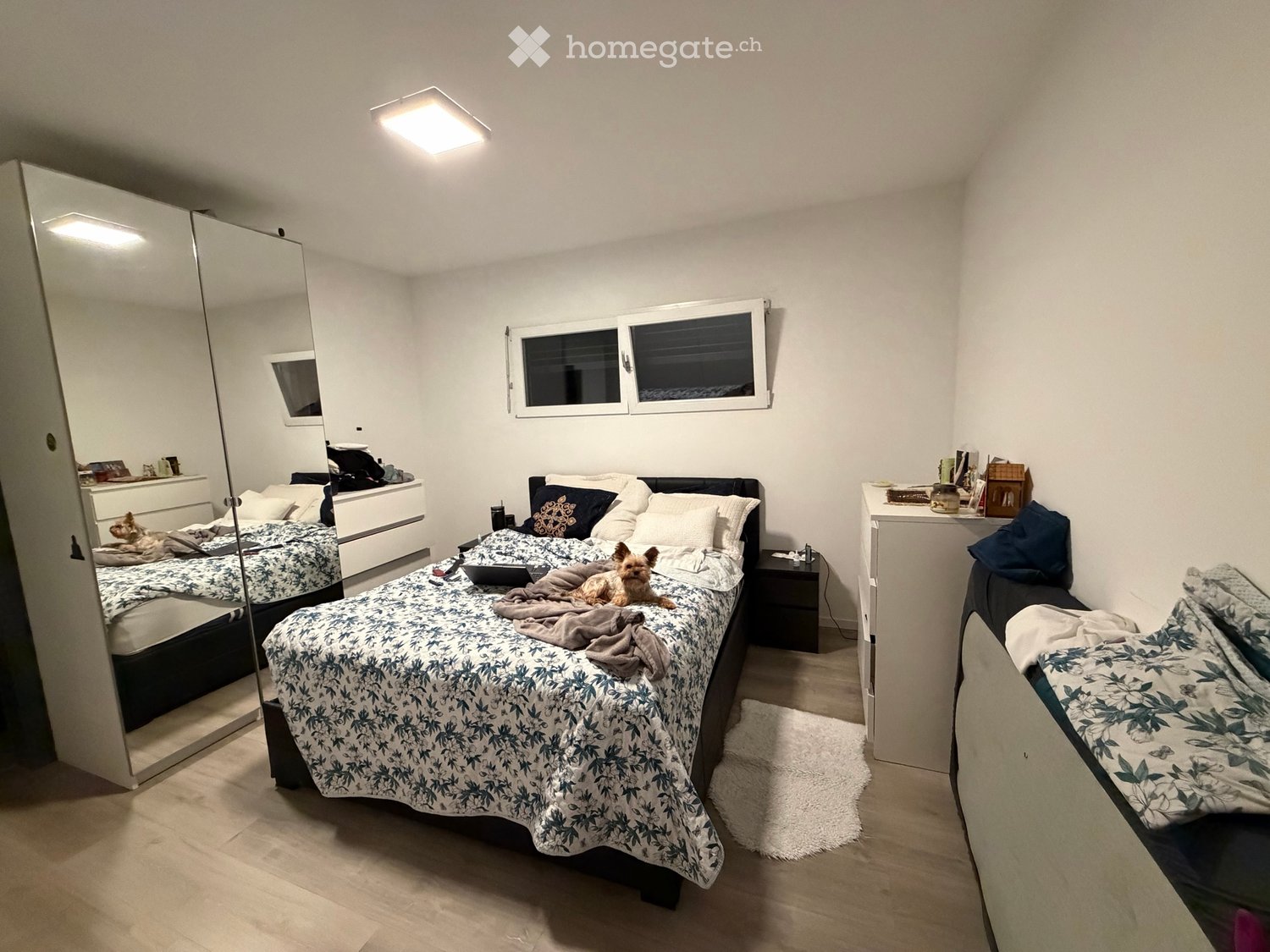 2 Zimmer Wohnung