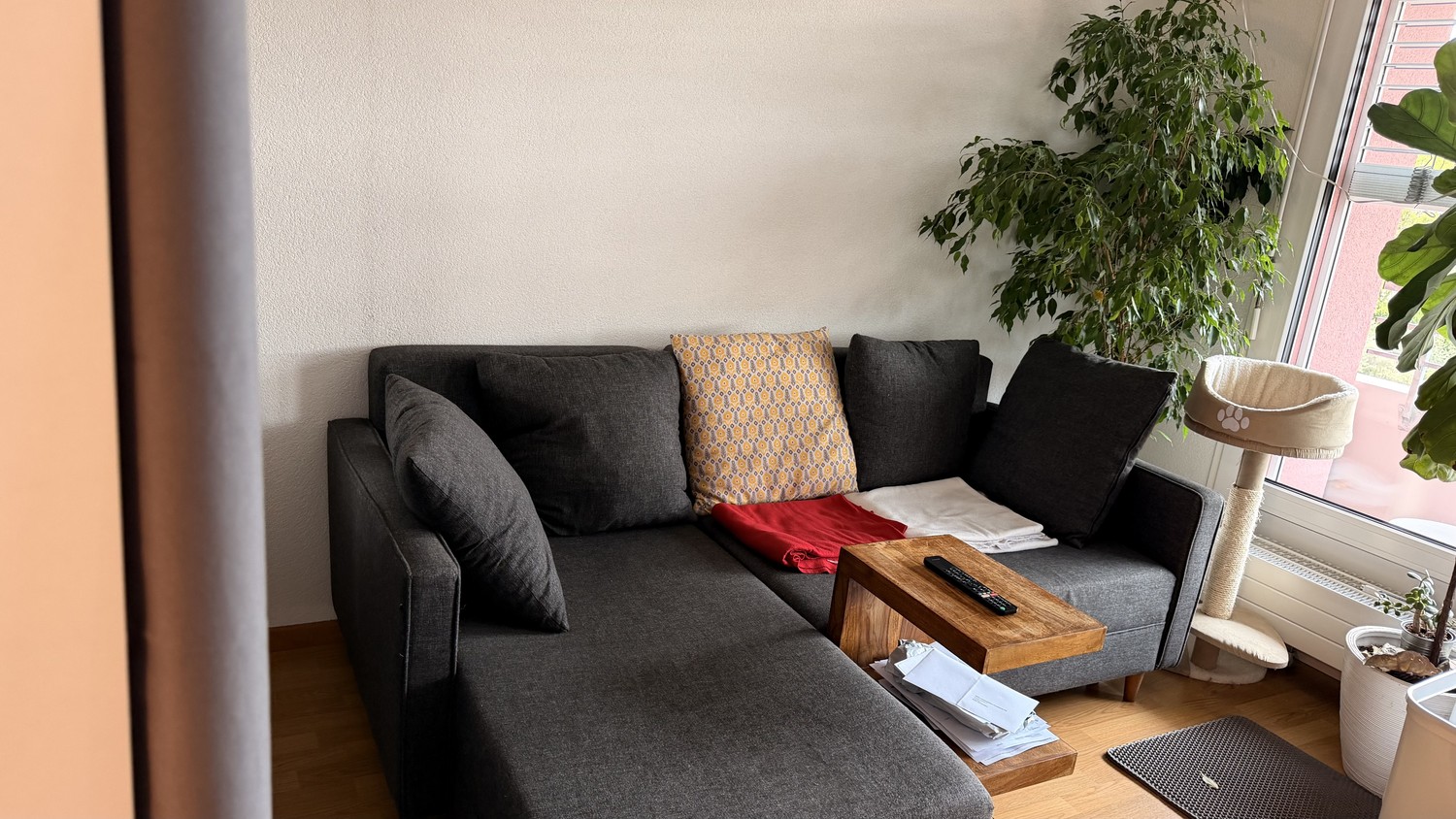 1 room apartment, Foto 4 von 4