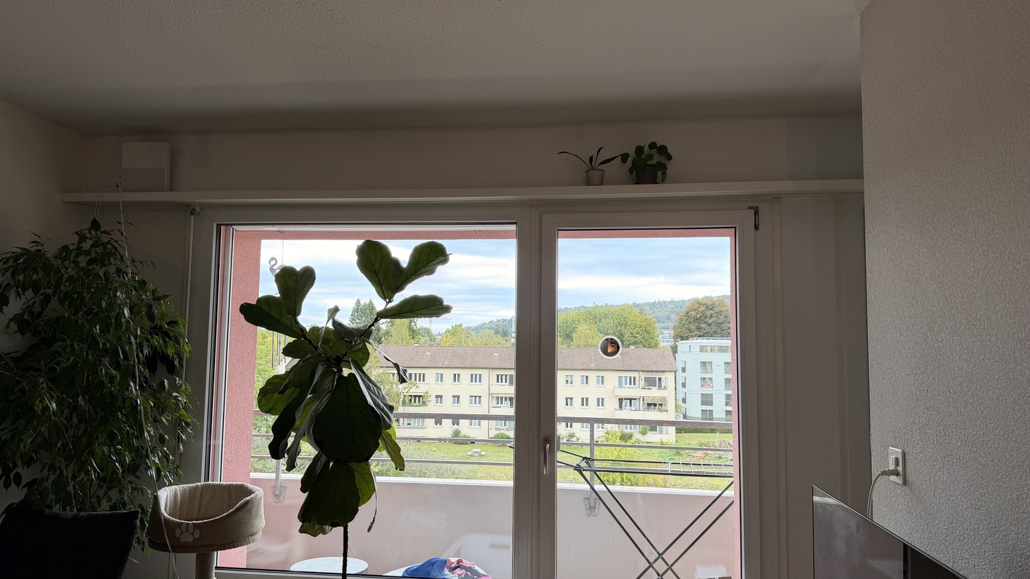 1 room apartment, Foto 2 von 4