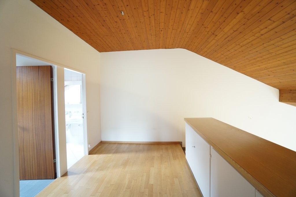 3 ½ rooms duplex