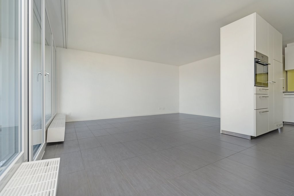 Appartamento di 4 ½ locali