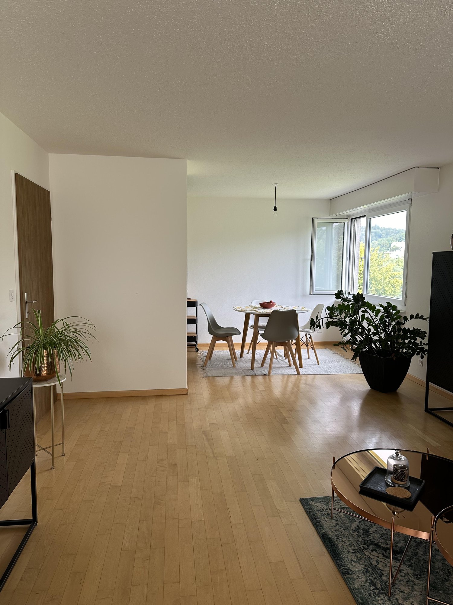 Appartement de 2 ½ pièces