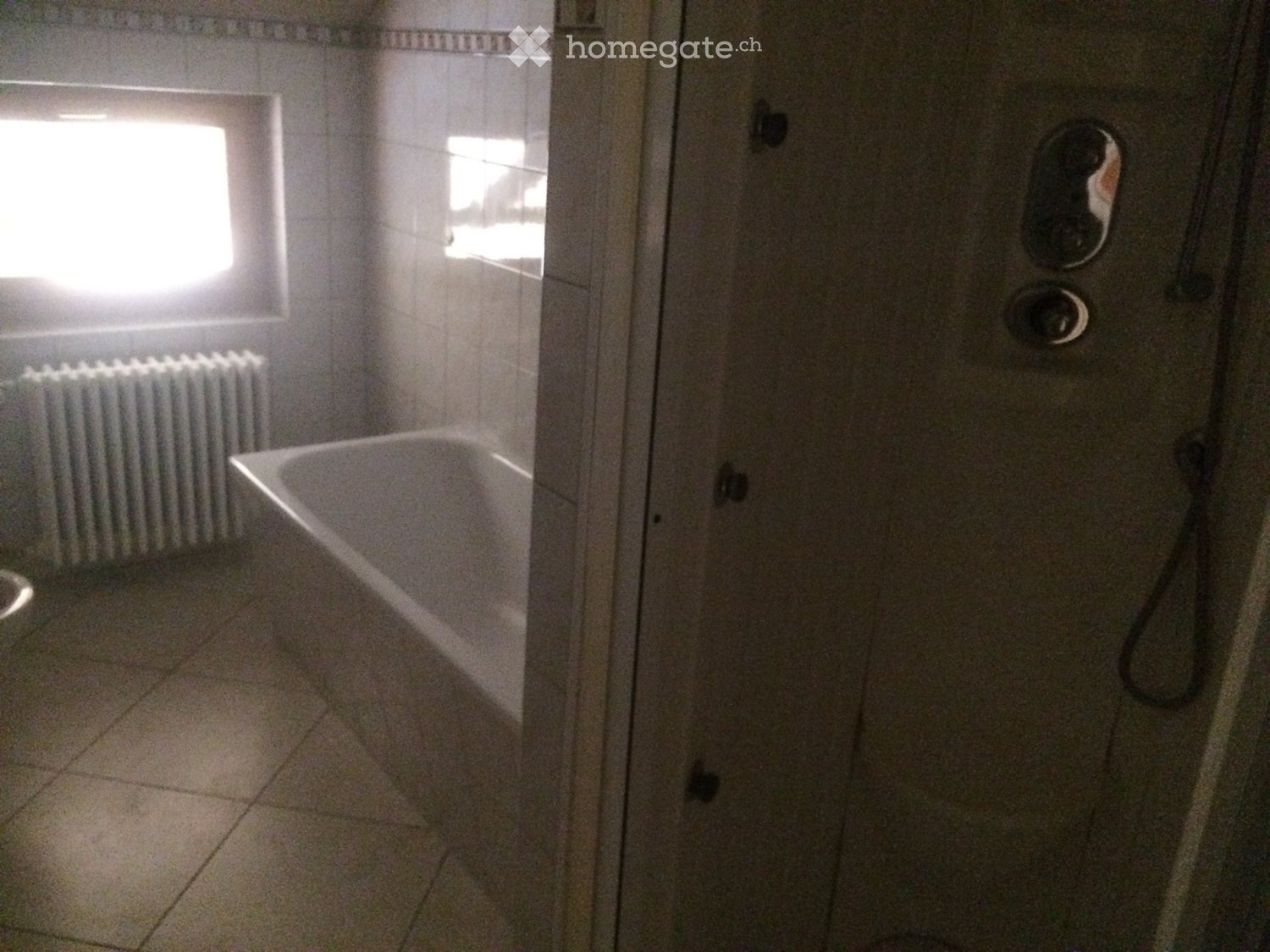 5-Zimmer-Wohnung (4)