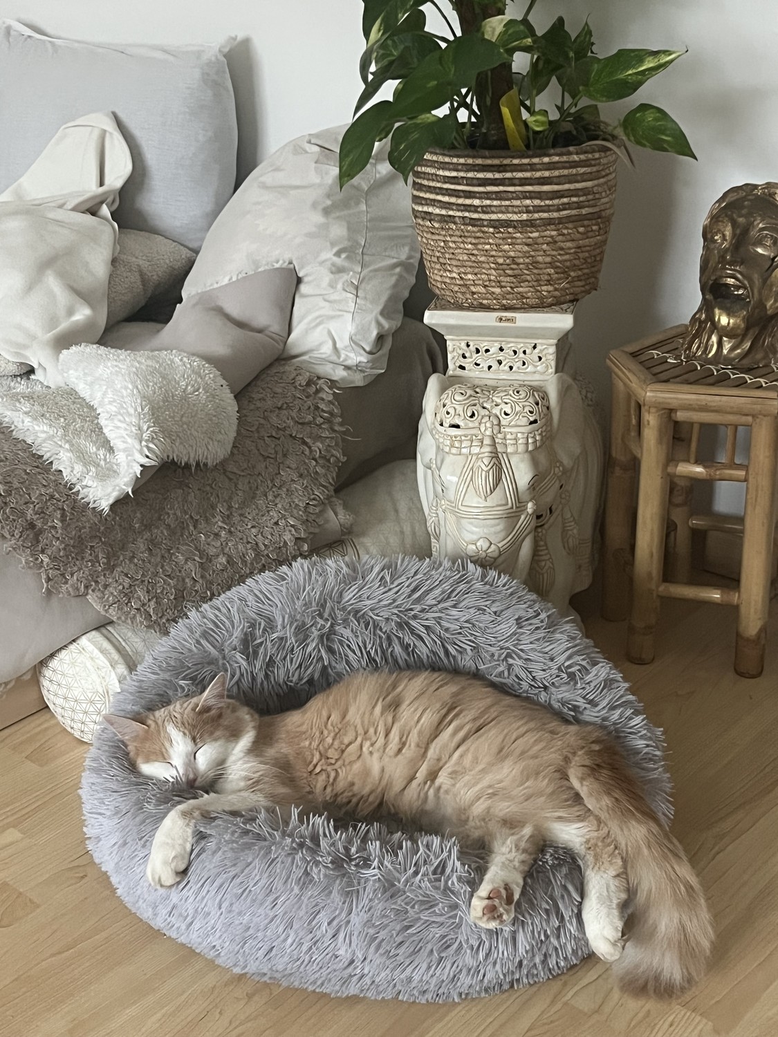 2 ½ rooms apartment