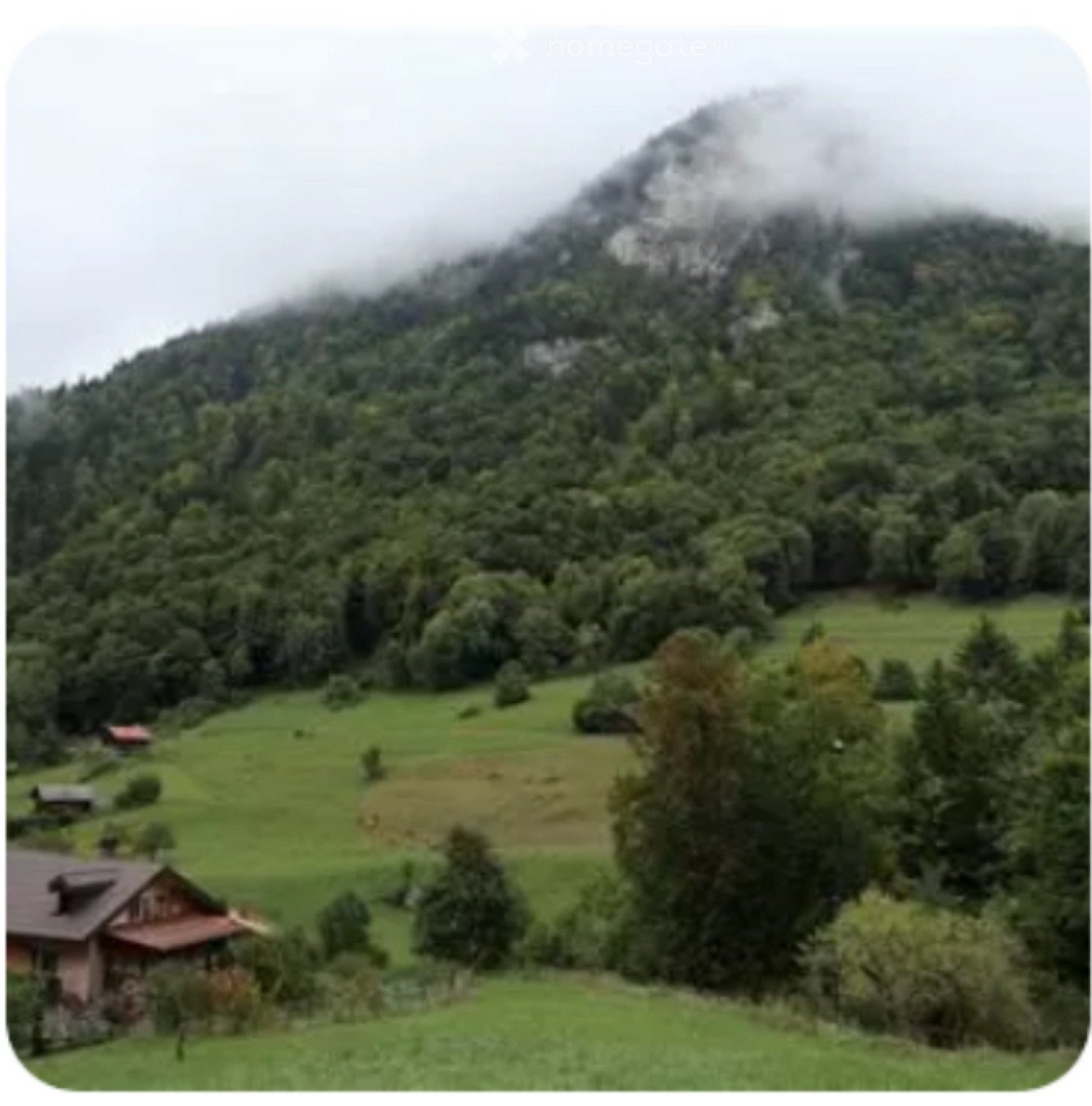 3 Zimmer Einfamilienhaus