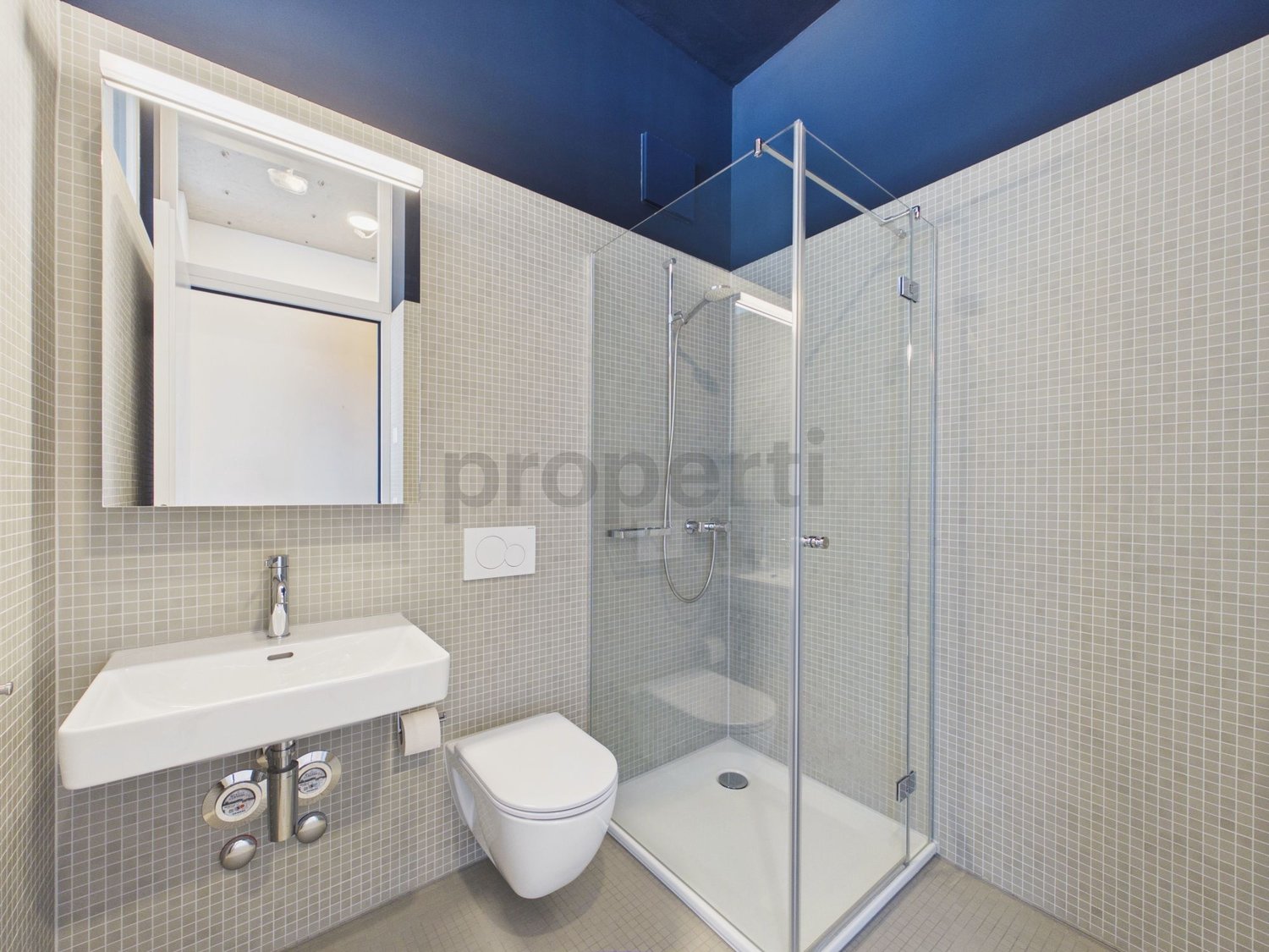 2 ½ rooms apartment, Foto 6 von 9