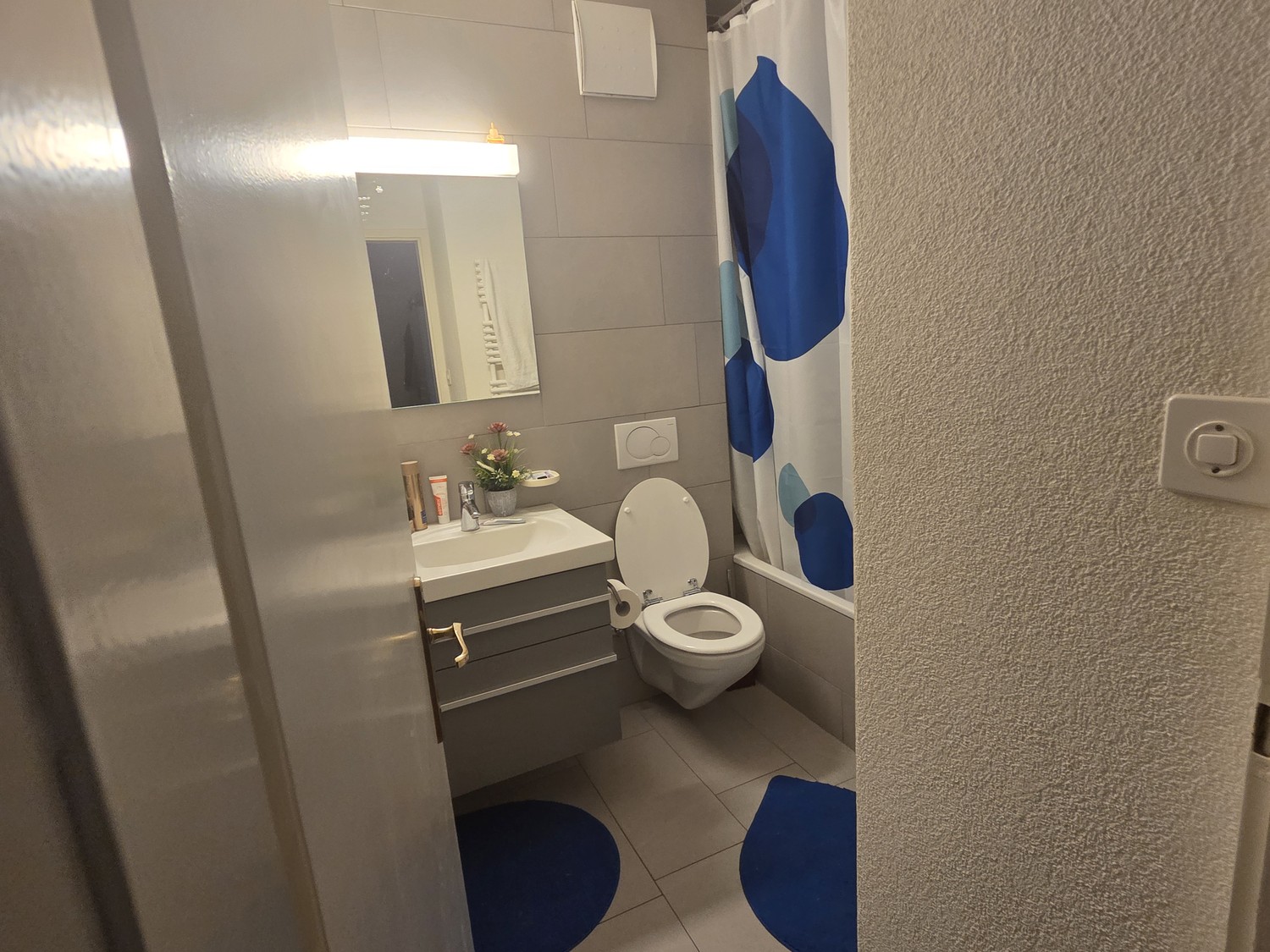 Room in a shared flat