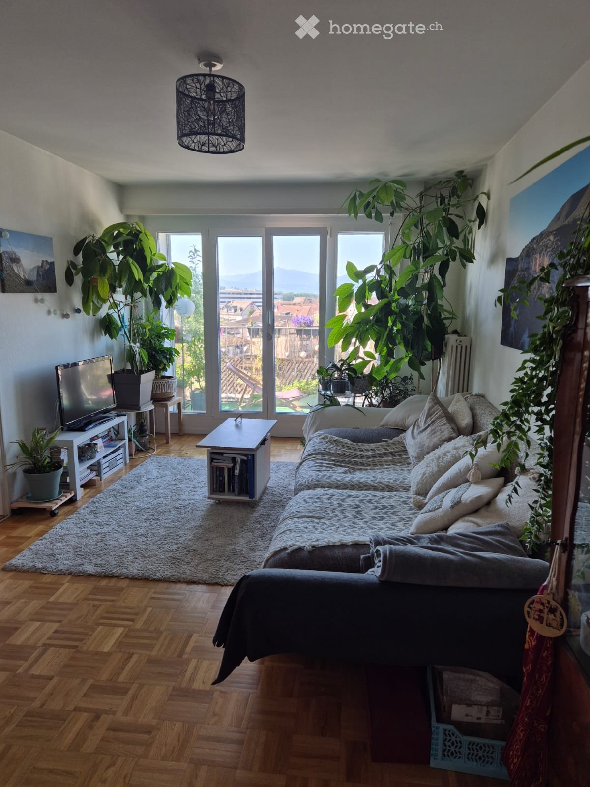 1 room single room