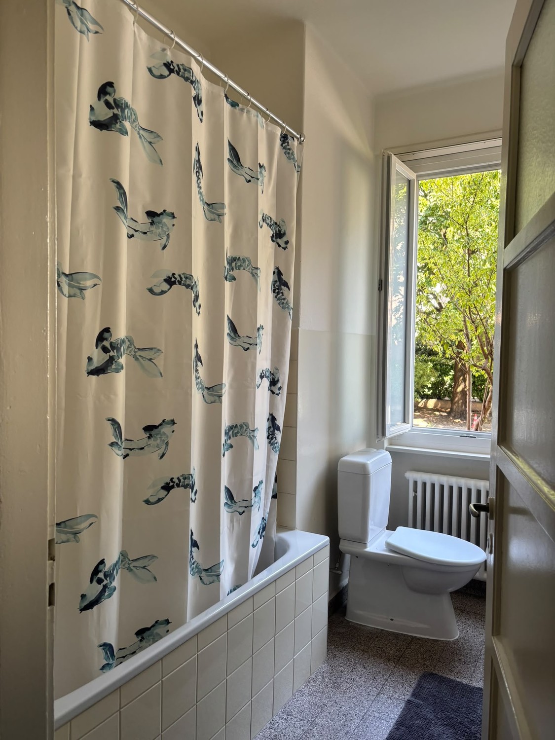 3 Zimmer Wohnung