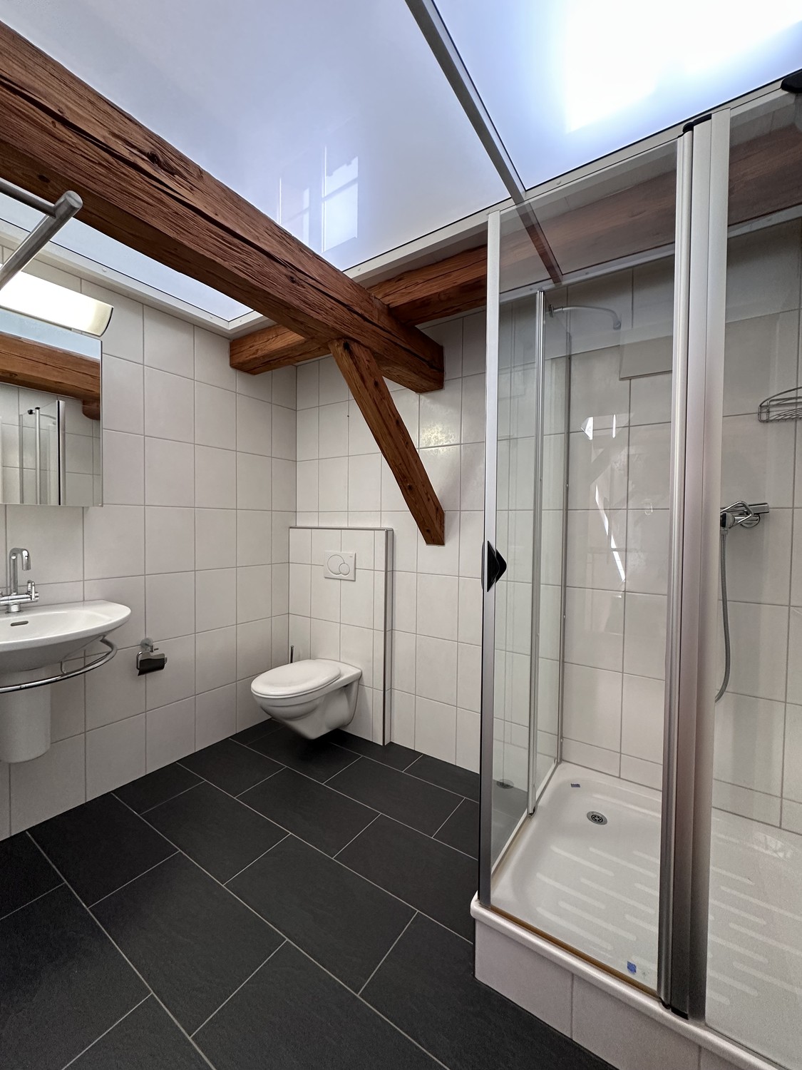 5 ½ rooms duplex (4)