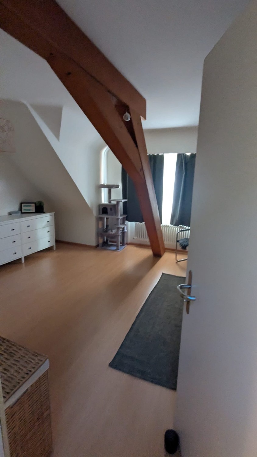 Recherche de repreneur pour un magnifique appartement en duplex sous les combles à Riehen. Idéal pour les couples ou une petite famille. 
Quartier très calme, superbe vue sur le Chrischona. Toutes les fenêtres sont neuves, ce qui signifie que l'appartement est très bien isolé, de sorte qu'il ne fait