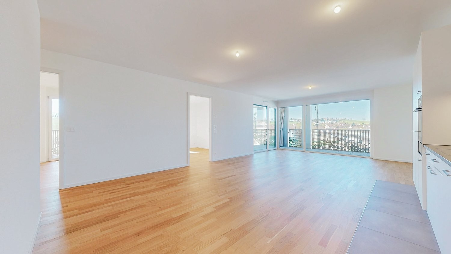 4 ½ rooms apartment