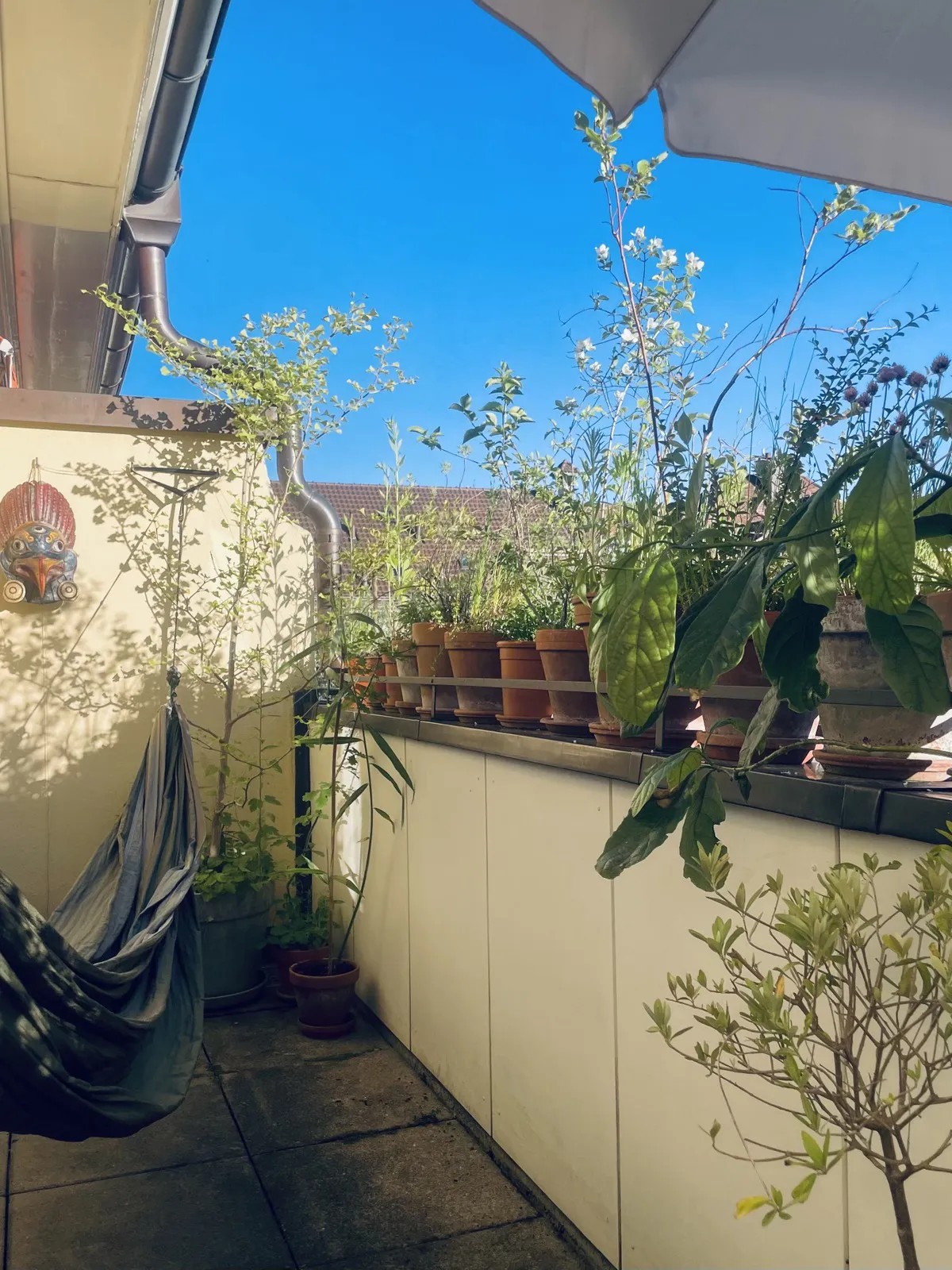 Room in a shared flat, Foto 8 von 9