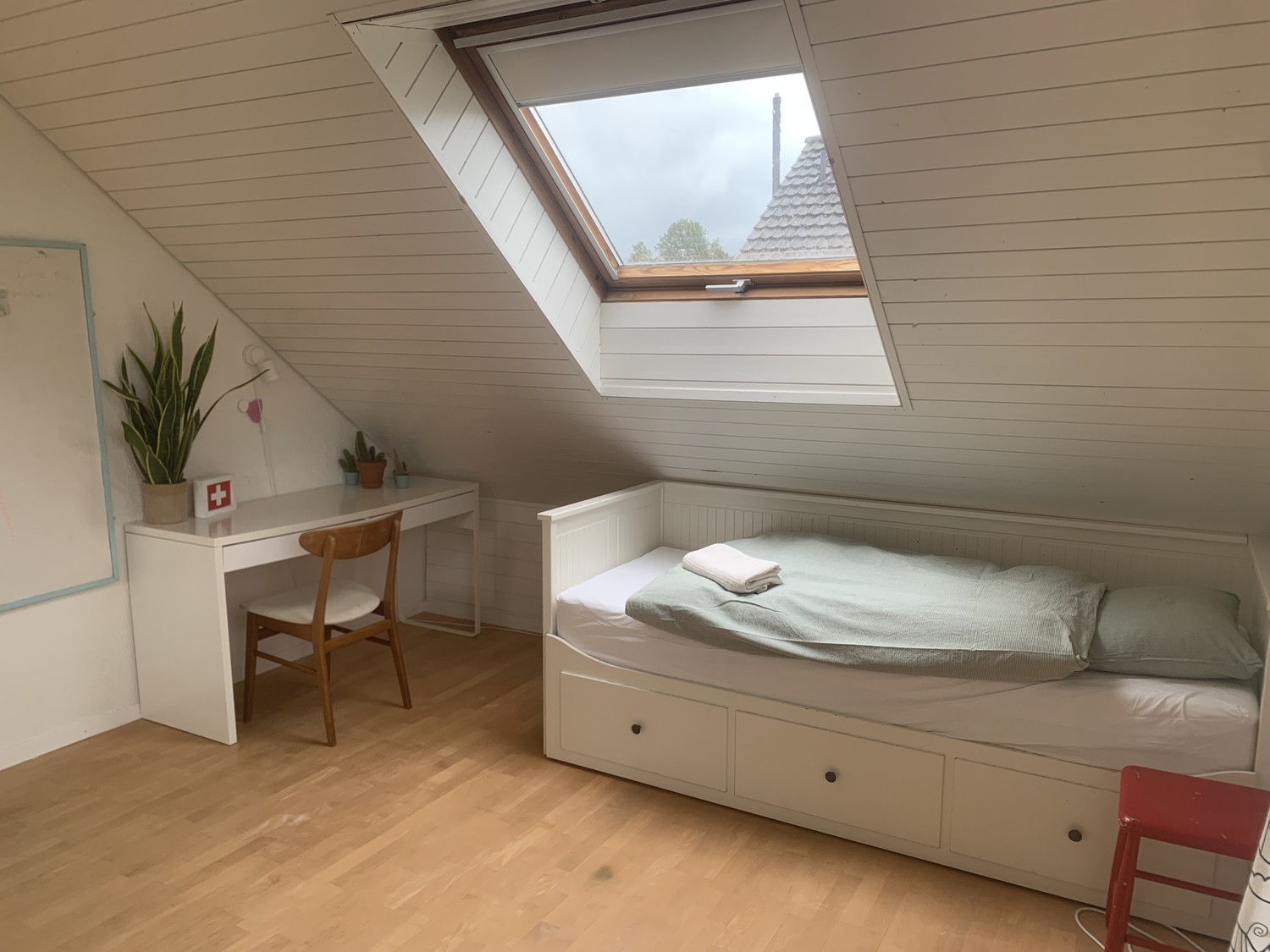 Room in a shared flat
