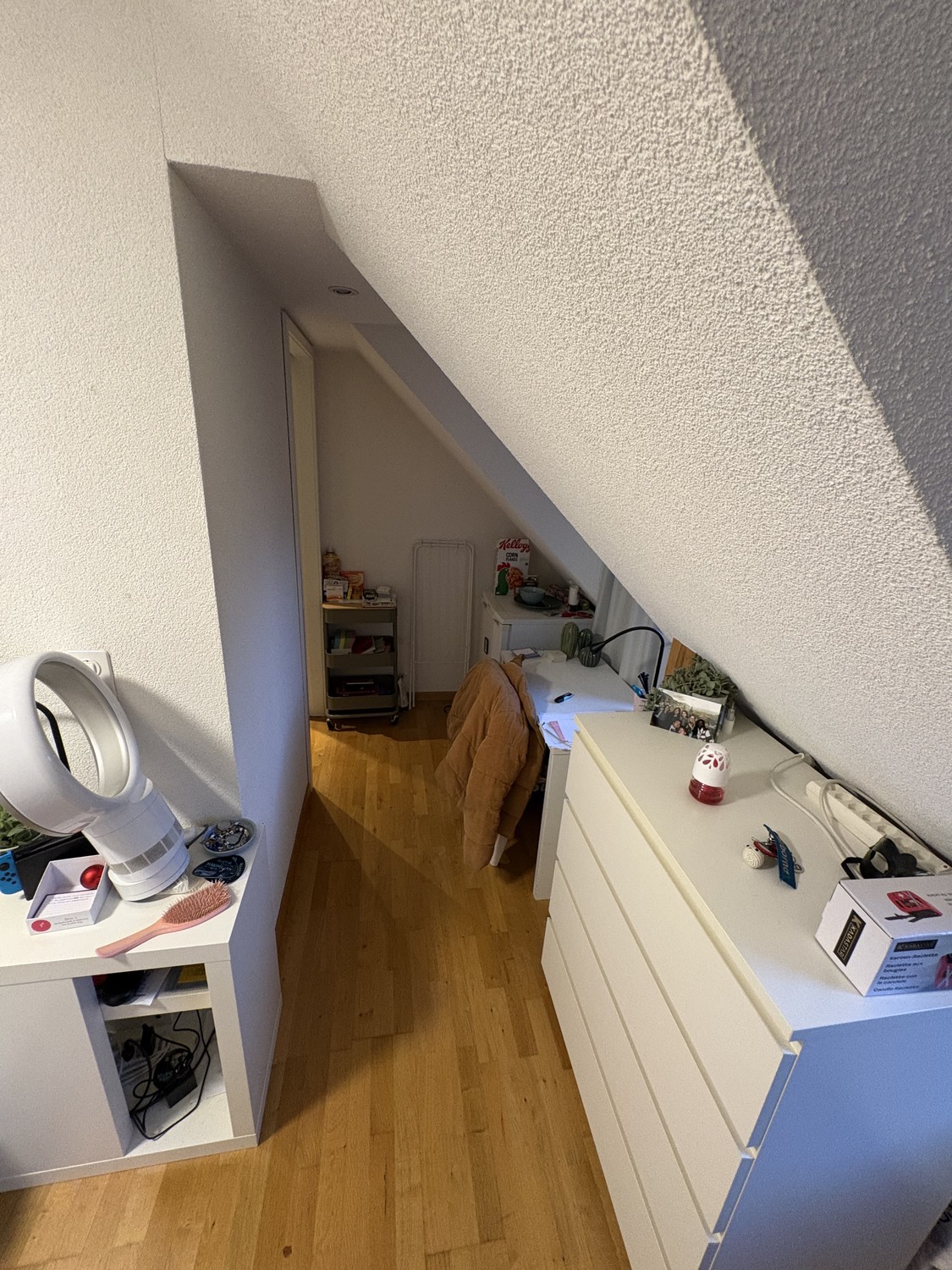Room in a shared flat