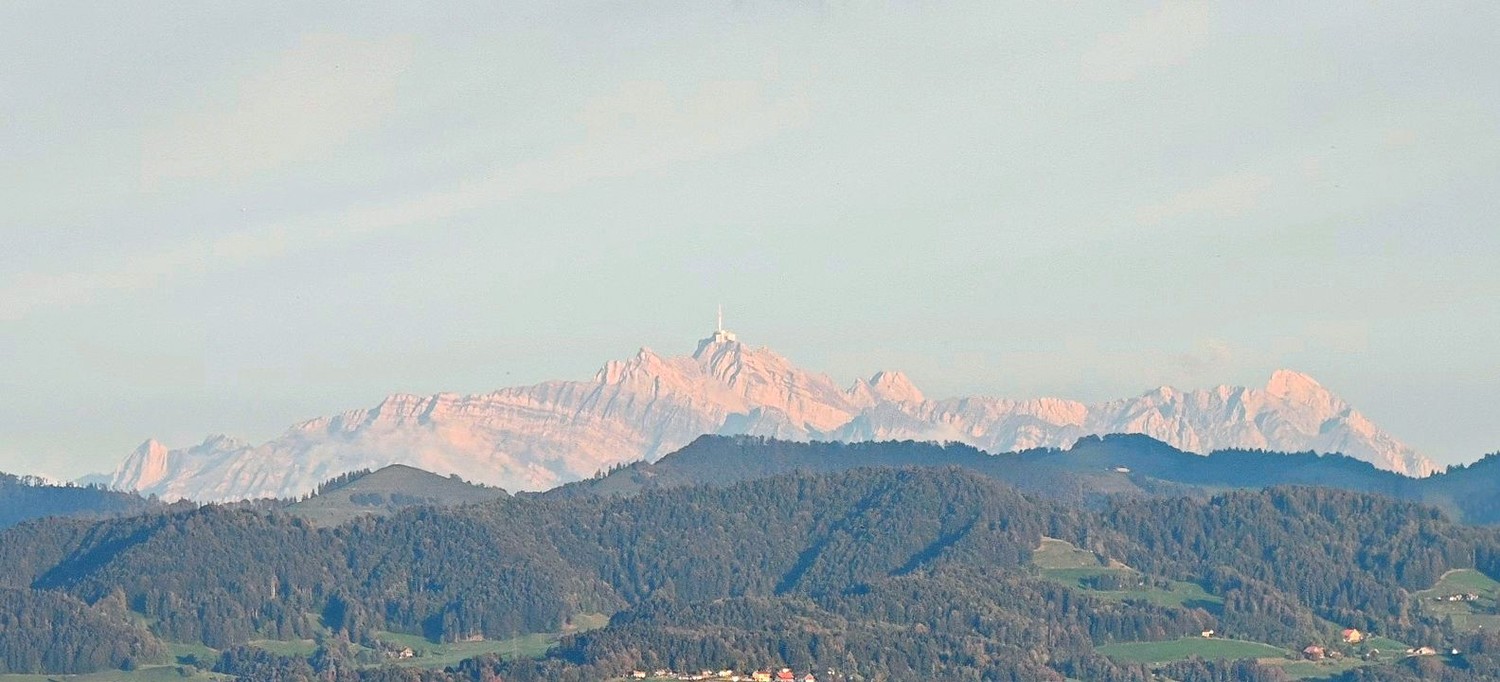 WG-Zimmer für über 40-Jährige am Waldrand in Binz (Maur), teilweise mit Blick auf den Säntis