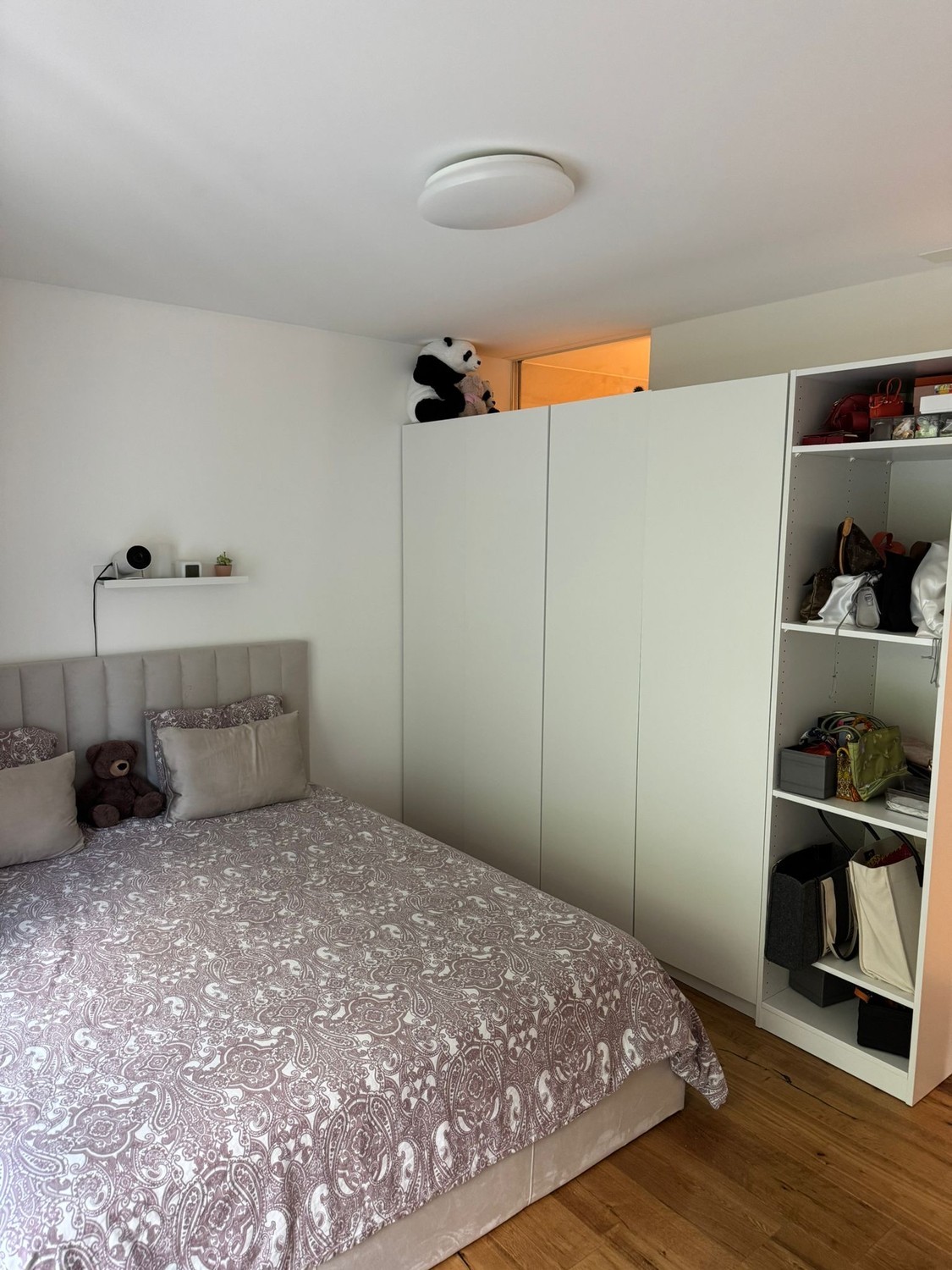 Room in a shared flat, foto 6 di 6