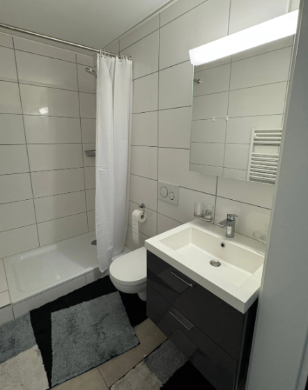 Appartement de 2 ½ pièces