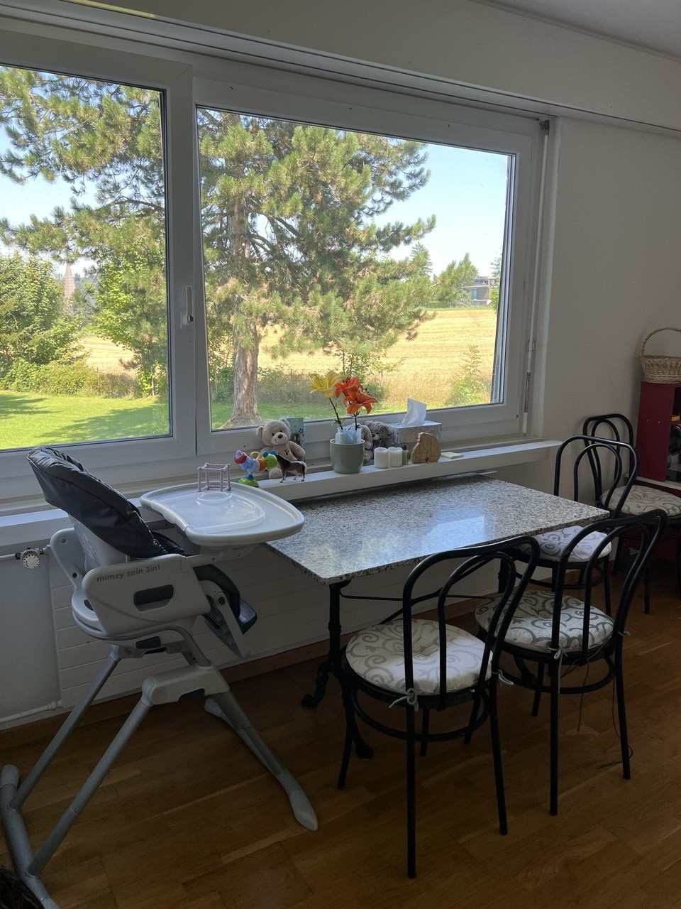4 ½ Zimmer Wohnung