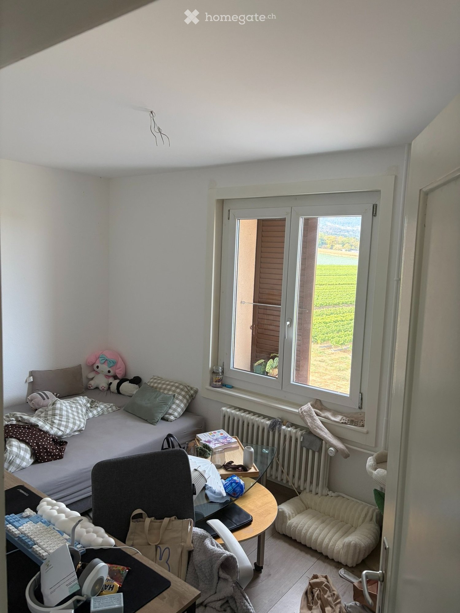 Appartamento di 3 locali