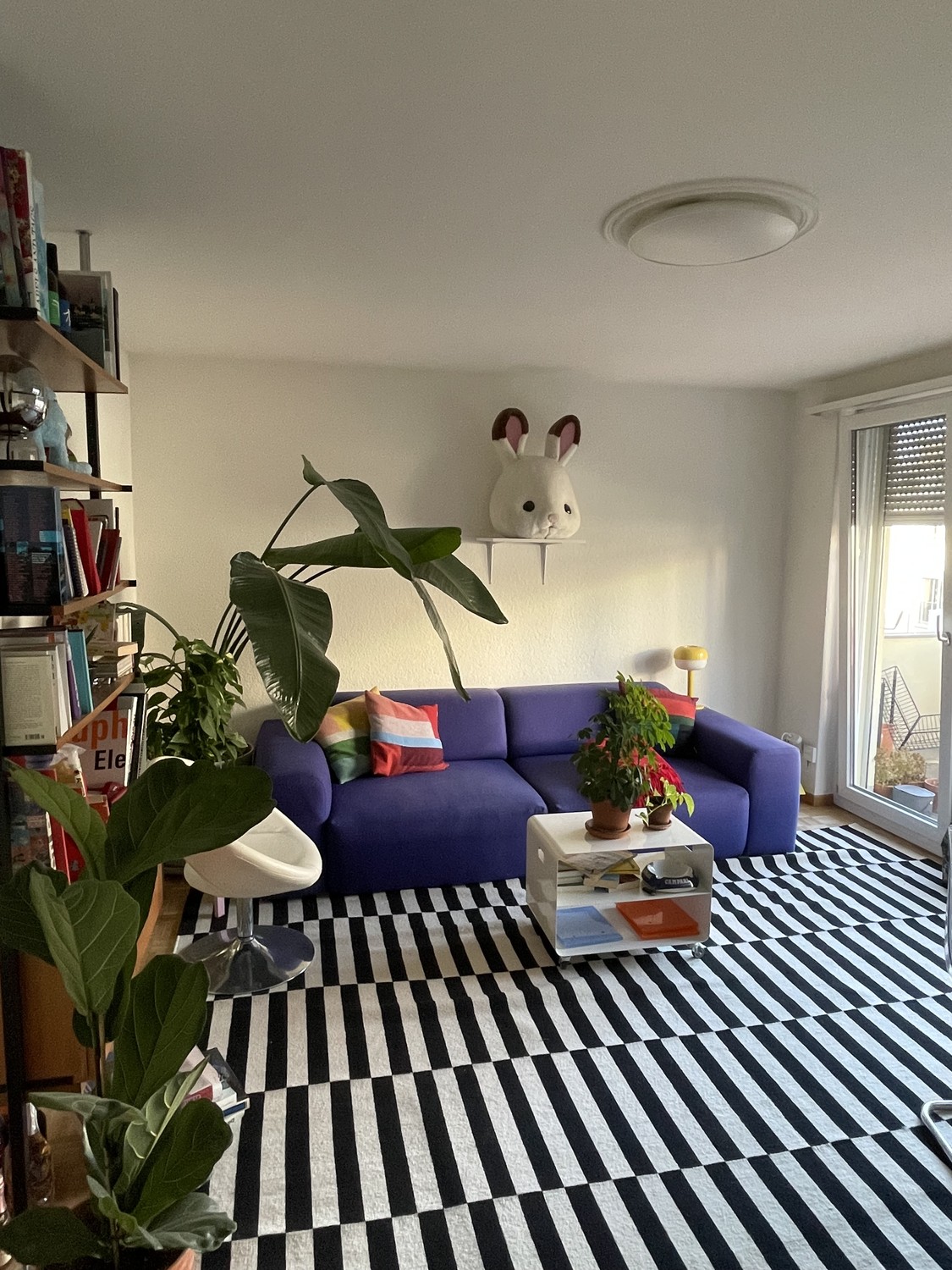 2 rooms apartment, Foto 2 von 6