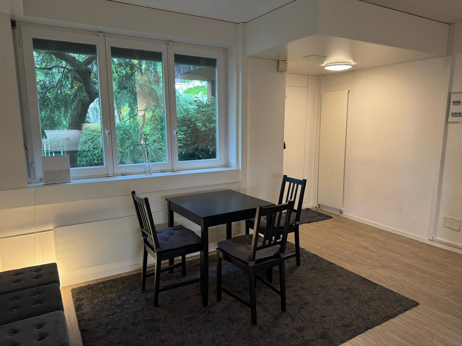 Appartamento di 2 ½ locali, foto 2 di 7