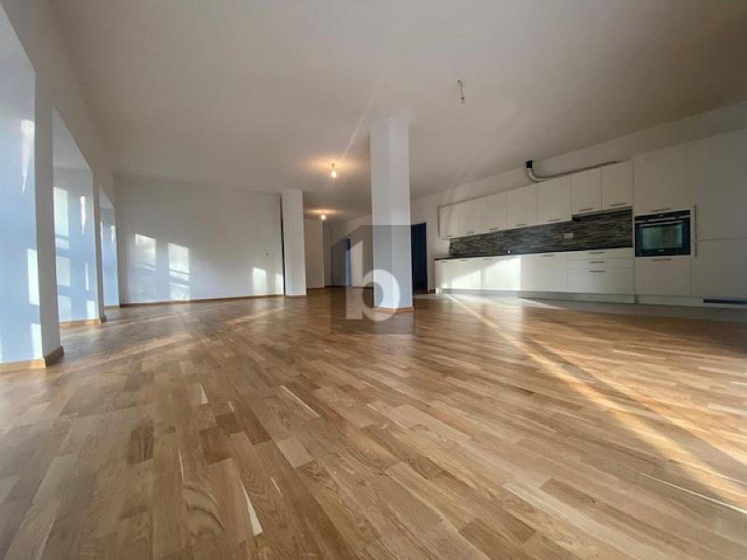 25 rooms multi family house