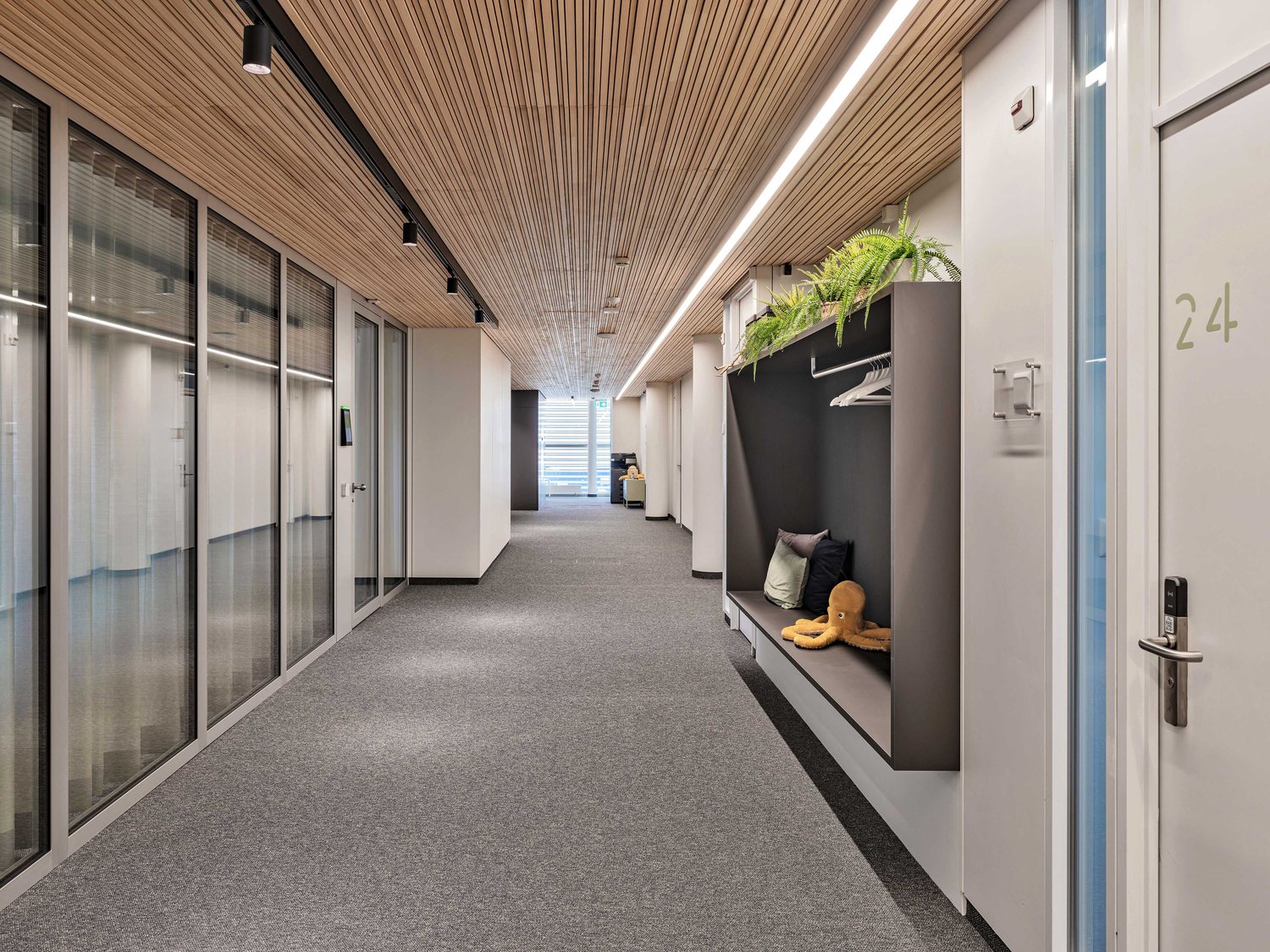 244m² office, Foto 5 von 10