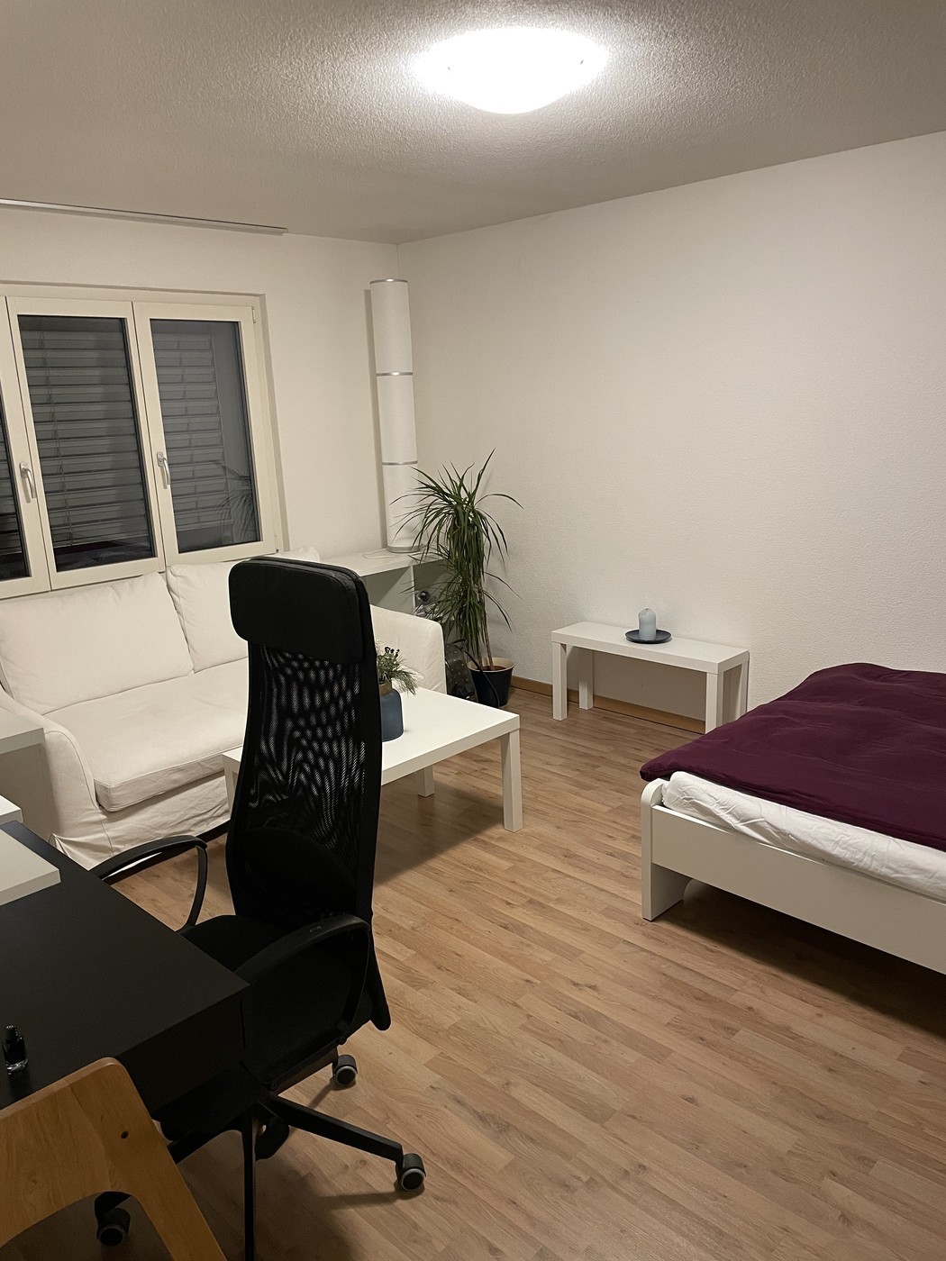 Room in a shared flat