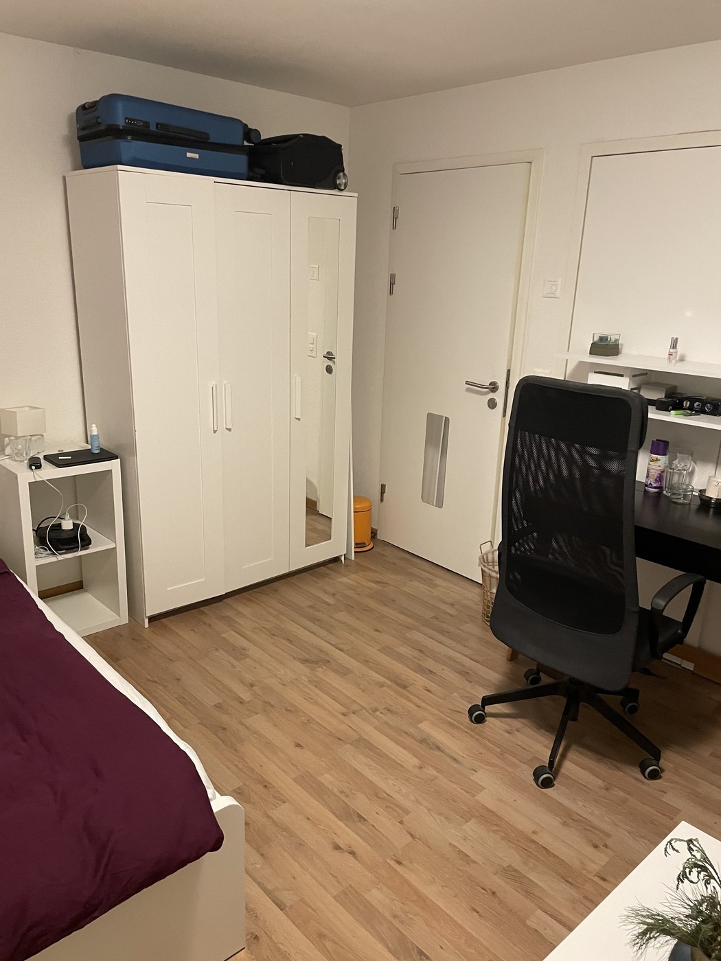 Room in a shared flat