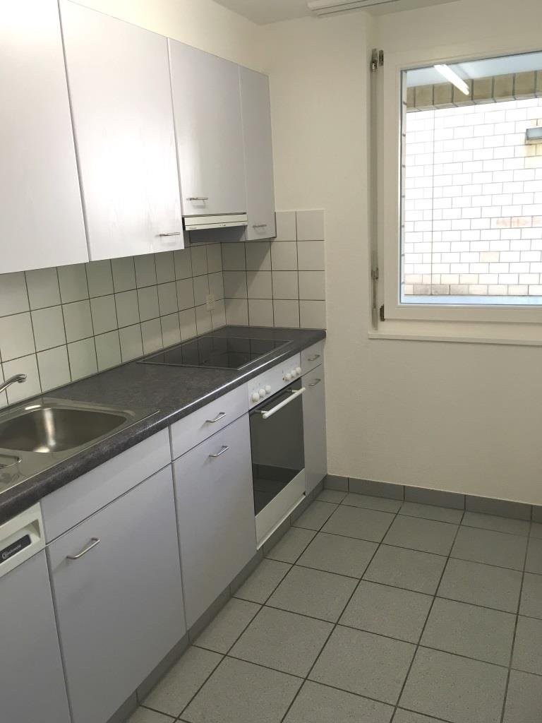 4 ½ rooms apartment (4)