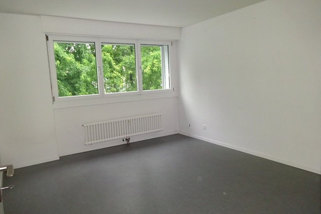 4 ½ pièces appartement