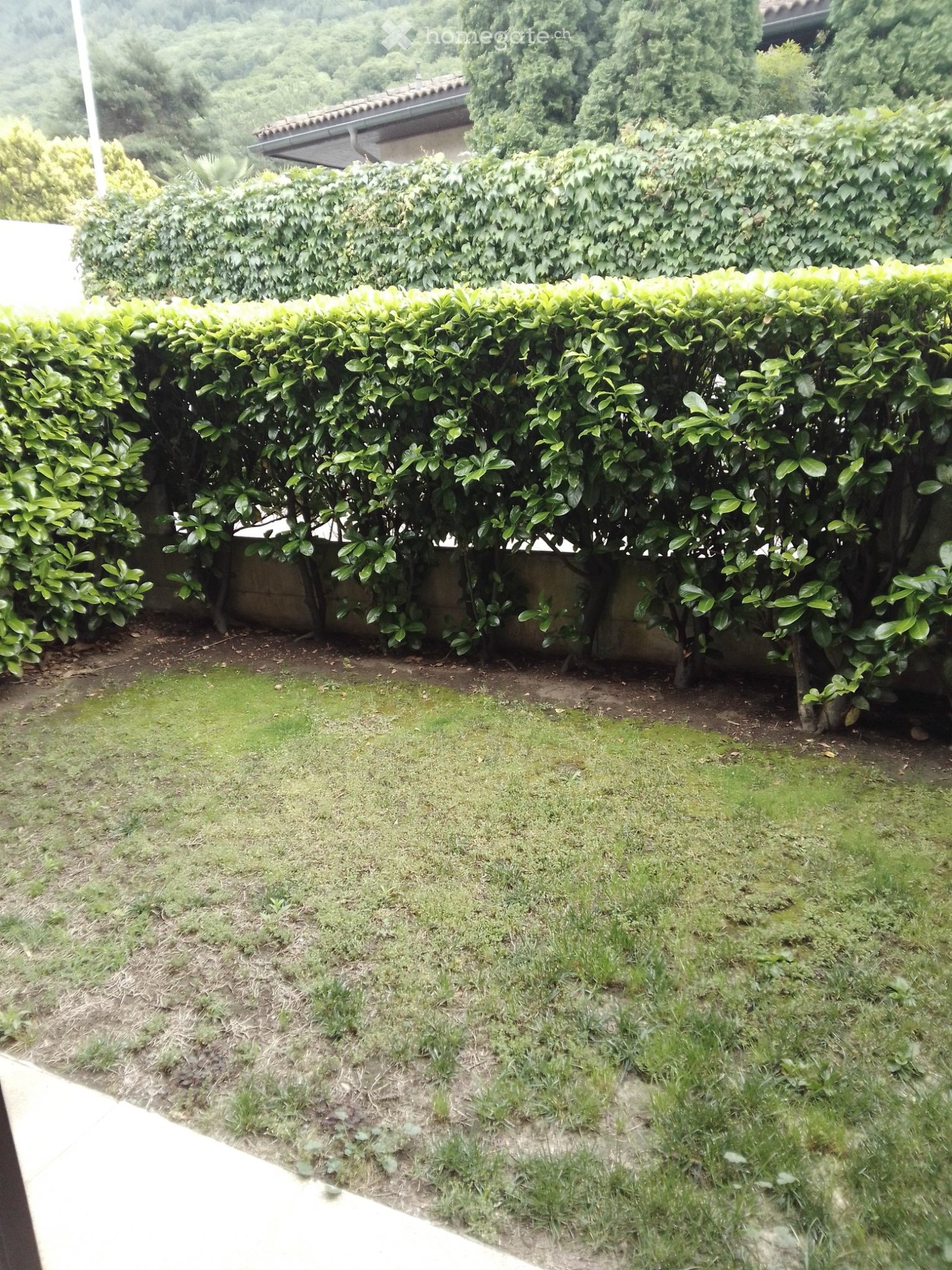 2 ½ pièces appartement