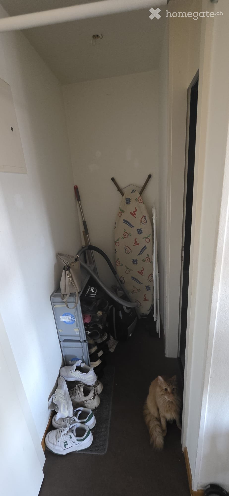 1-Zimmer-Wohnung, Foto 4 von 5