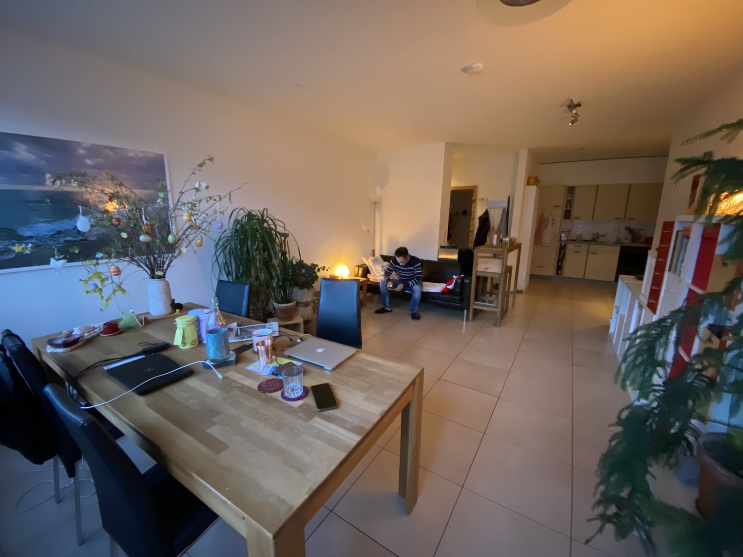 Room in a shared flat