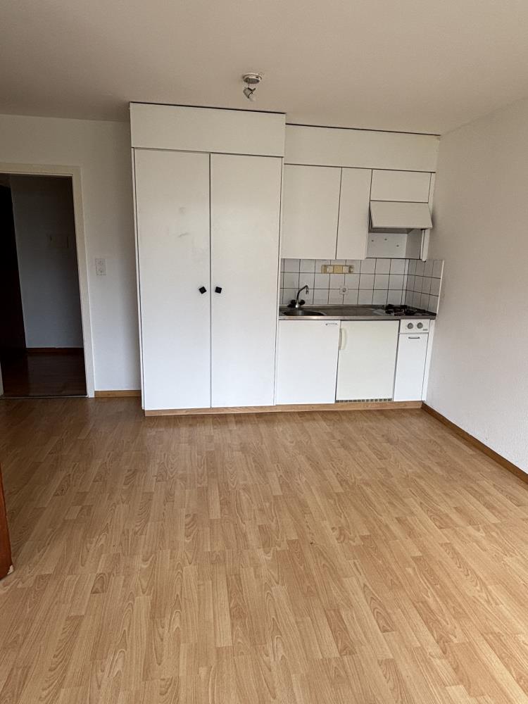 2 rooms apartment (6)