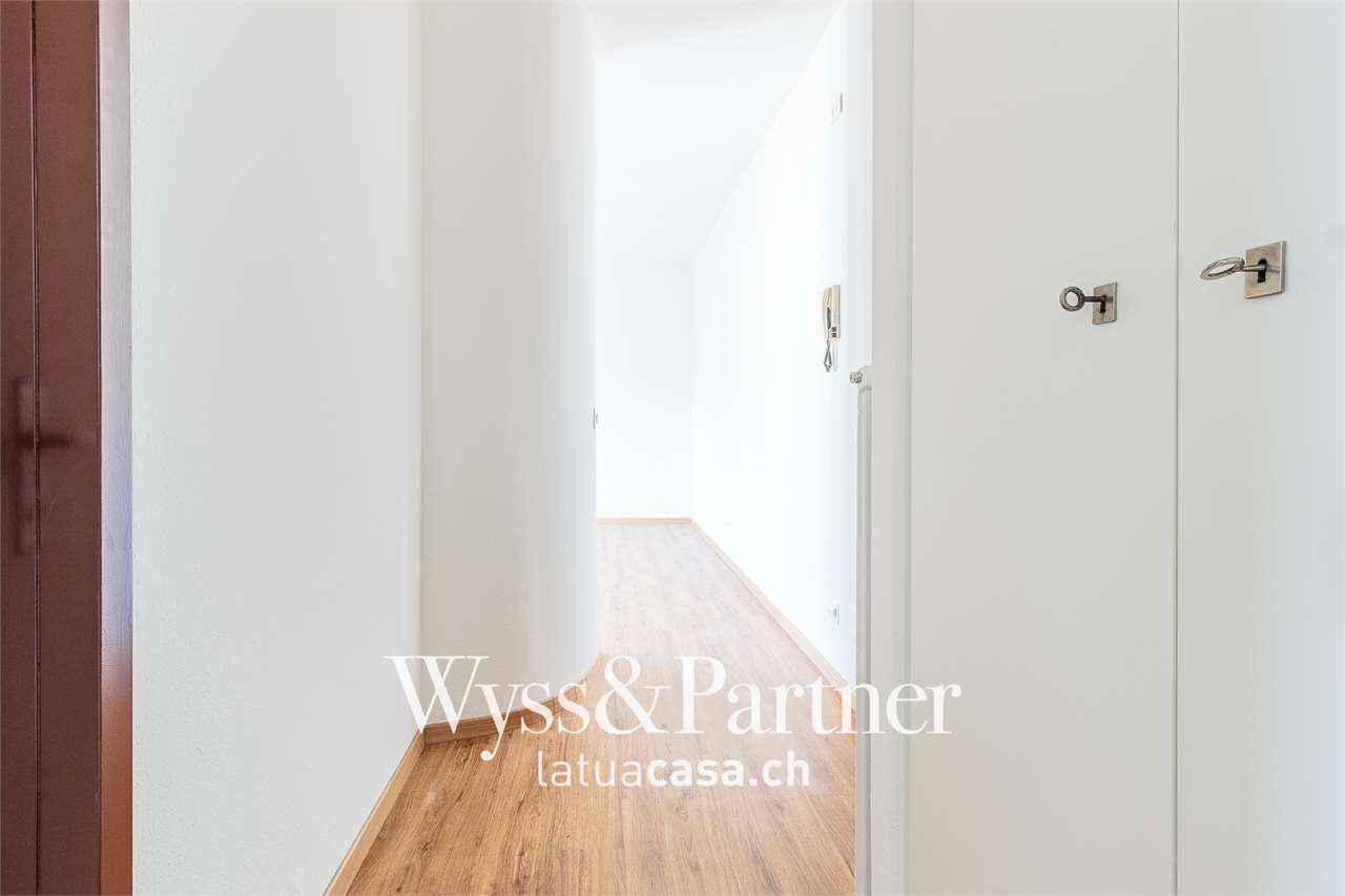 2 ½ pièces appartement