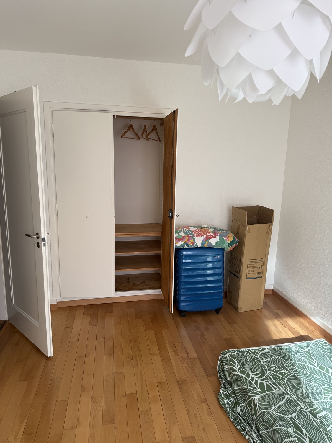 Chambre dans une colocation