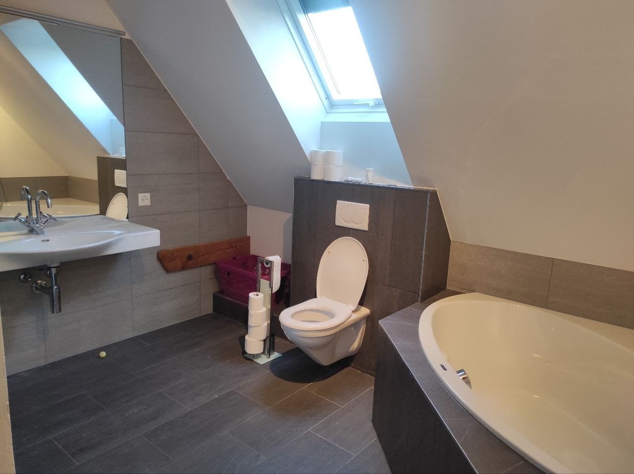Room in a shared flat