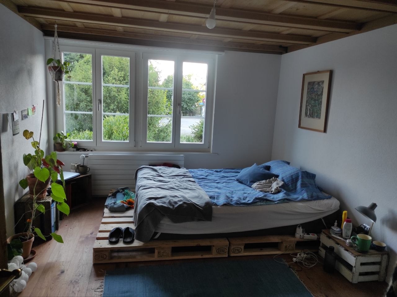 Room in a shared flat