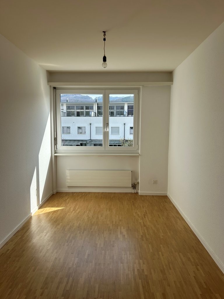 4 ½ rooms apartment (4)