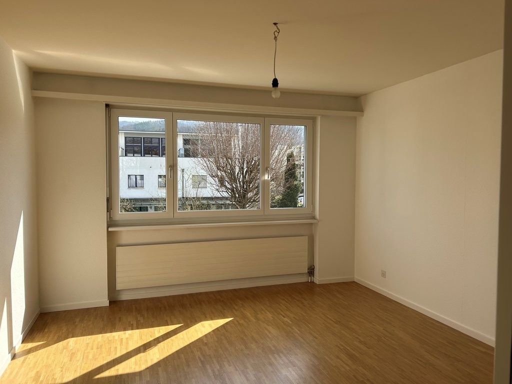 4 ½ rooms apartment (5)